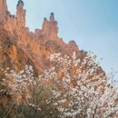 彩色沙林景区 - 曲靖市旅游 缩略图 4