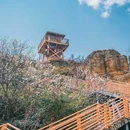 彩色沙林景区 - 曲靖市旅游 缩略图 6