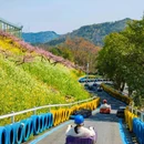 城山沟景区 - 湖州市旅游 缩略图 2