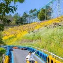 城山沟景区 - 湖州市旅游 缩略图 5