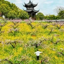 城山沟景区 - 湖州市旅游 缩略图 4