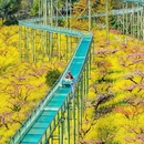 城山沟景区 - 湖州市旅游 缩略图 1