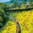 城山沟景区 - 湖州市旅游 缩略图 3