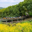 城山沟景区 - 湖州市旅游 缩略图 7