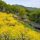 城山沟景区 - 湖州市旅游 缩略图 8