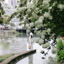 锦江路 - 温州市旅游 缩略图 2