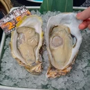 鲍火鲍鱼鸡·活海鲜火锅(深圳湾店) - 深圳市旅游 缩略图 7