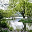西湖风景名胜区 - 杭州市旅游 缩略图 3