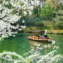 西湖风景名胜区 - 杭州市旅游 缩略图 2