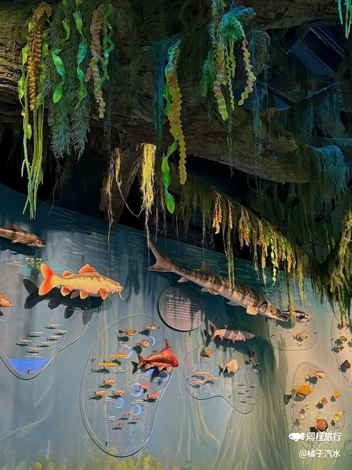 中国湿地博物馆 - 杭州市旅游