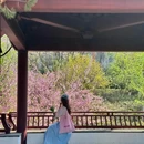 江苏园博园 - 南京市旅游 缩略图 5