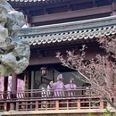 江苏园博园 - 南京市旅游 缩略图 4