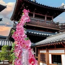 江苏园博园 - 南京市旅游 缩略图 9