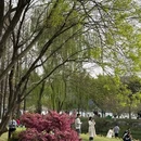 玄武湖景区 - 南京市旅游 缩略图 5