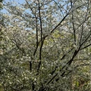 玄武湖景区 - 南京市旅游 缩略图 8