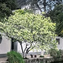 南京城墙富贵山段 - 南京市旅游 缩略图 5