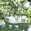 南京城墙富贵山段 - 南京市旅游 缩略图 6