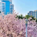 徐家汇公园 - 上海市旅游 缩略图 4