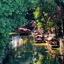 逢简水乡 - 佛山旅游 缩略图 9