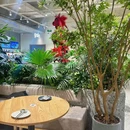 gala橄啦轻食料理(泰盛广场店) - 临沂市旅游 缩略图 5