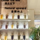 gala橄啦轻食料理(泰盛广场店) - 临沂市旅游 缩略图 8