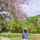 华南农业大学 - 广州市旅游 缩略图 4