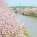 广东花都湖国家湿地公园 - 广州市旅游 缩略图 3