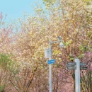 广东花都湖国家湿地公园 - 广州市旅游 缩略图 6