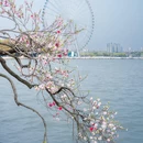 蠡园 - 无锡市旅游 缩略图 5