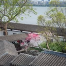蠡园 - 无锡市旅游 缩略图 7