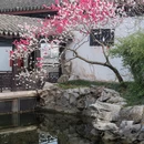 蠡园 - 无锡市旅游 缩略图 6