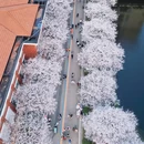 晚安家居文化园 - 长沙市旅游 缩略图 3
