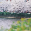 晚安家居文化园 - 长沙市旅游 缩略图 8