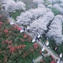晚安家居文化园 - 长沙市旅游 缩略图 6