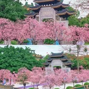 宝墨园景区 - 广州市旅游 缩略图 2