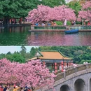 宝墨园景区 - 广州市旅游 缩略图 9