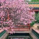 宝墨园景区 - 广州市旅游 缩略图 6