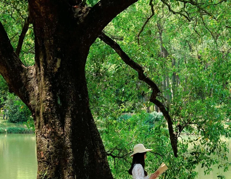 华南国家植物园-兰园 - 广州市旅游 1