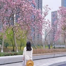 上海大观园 - 上海市旅游 缩略图 9