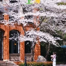 国家会展中心上海洲际酒店 - 上海市旅游 缩略图 1