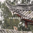 三台县人民医院 - 绵阳市旅游 缩略图 4
