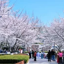 和平广场 - 合肥市旅游 缩略图 3