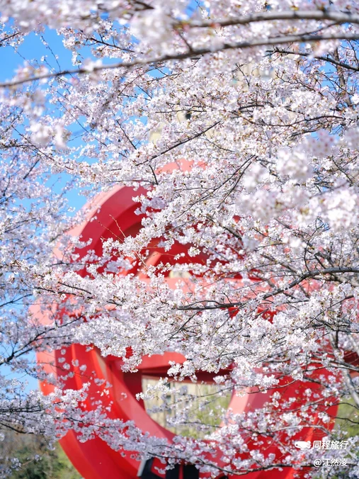 和平广场 - 合肥市旅游