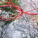 和平广场 - 合肥市旅游 缩略图 4