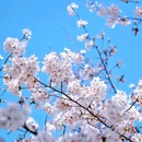 和平广场 - 合肥市旅游 缩略图 7