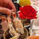 满板前·帝王蟹雪蟹(环宇城店) - 上海市旅游 缩略图 4