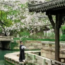 濮院时尚古镇 - 嘉兴市旅游 缩略图 1