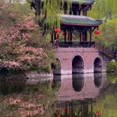 棠湖公园 - 成都旅游 缩略图 7