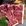 北京市·肉问屋·元气一番烧肉(北京总店)