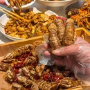 九月小厨(拦江路店) - 武汉市旅游 缩略图 2